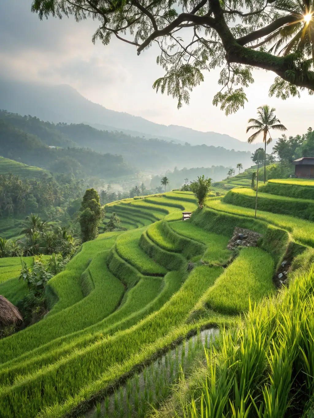A lush green rice terrace in Ubud, Bali, with traditional Balinese farmers working in the fields, showcasing the sustainable agricultural practices.